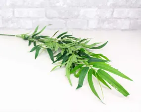 Bamboo Spray