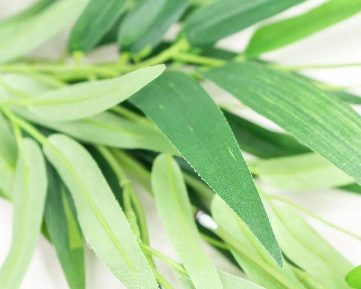 Bamboo Spray