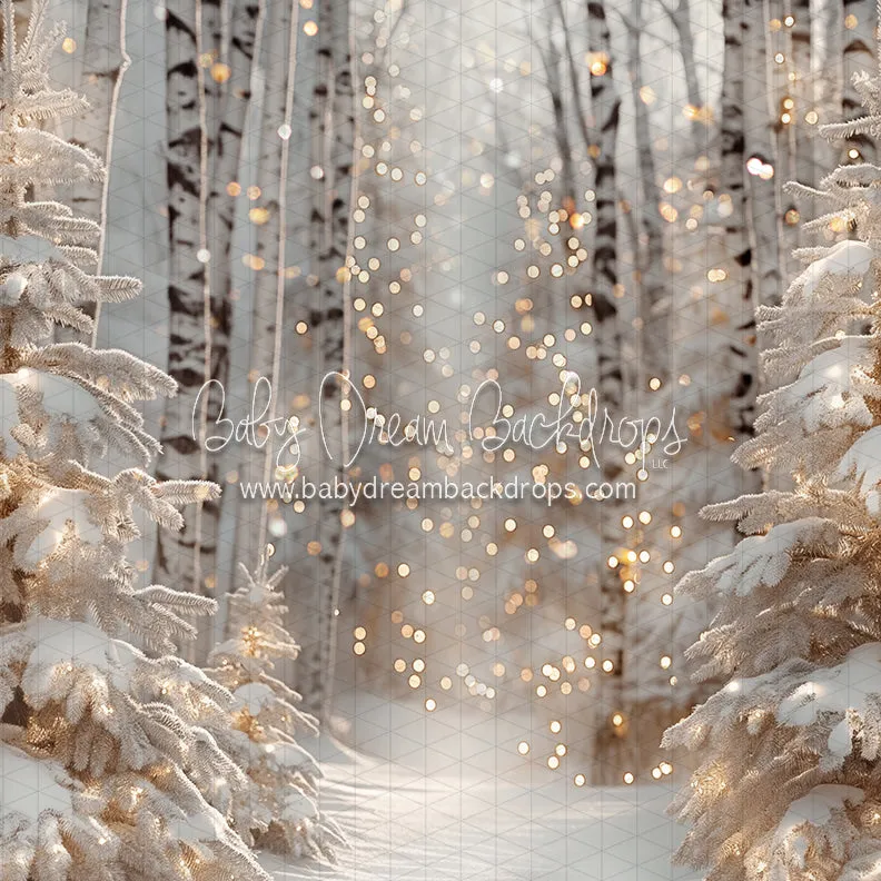 Birch and Bokeh (CC)