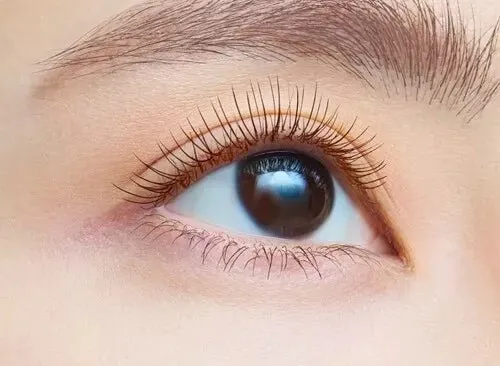 DEJAVU Fiberwig Ultra Long Mascara 7.4g - E2 Natural Brown