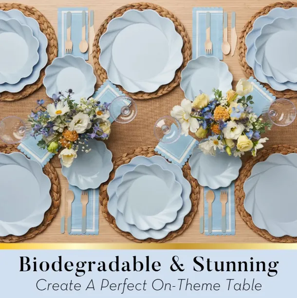 Eco Dinner Plate - Sky Blue