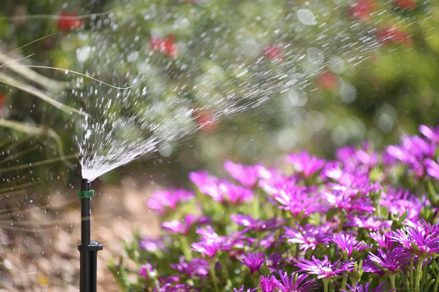 Hozelock 90° Micro Spray (12 Pack) - 2790
