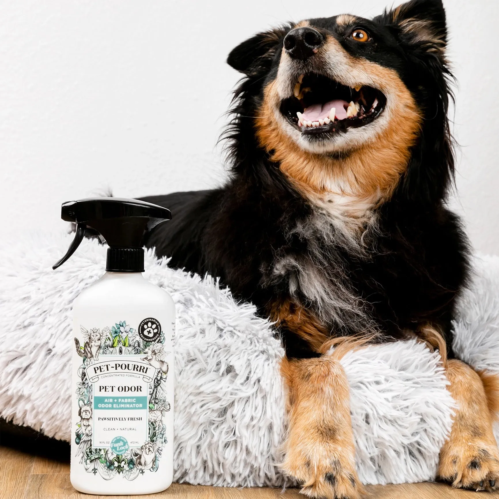 Pet~Pourri Pawsitively Fresh Air Fabric Spray